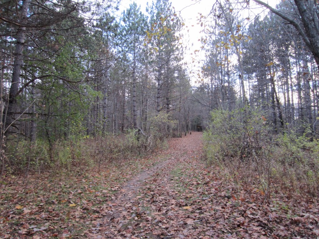 NCC Greenbelt P9 | NCC 26, Ottawa, ON K2R 1H4, Canada