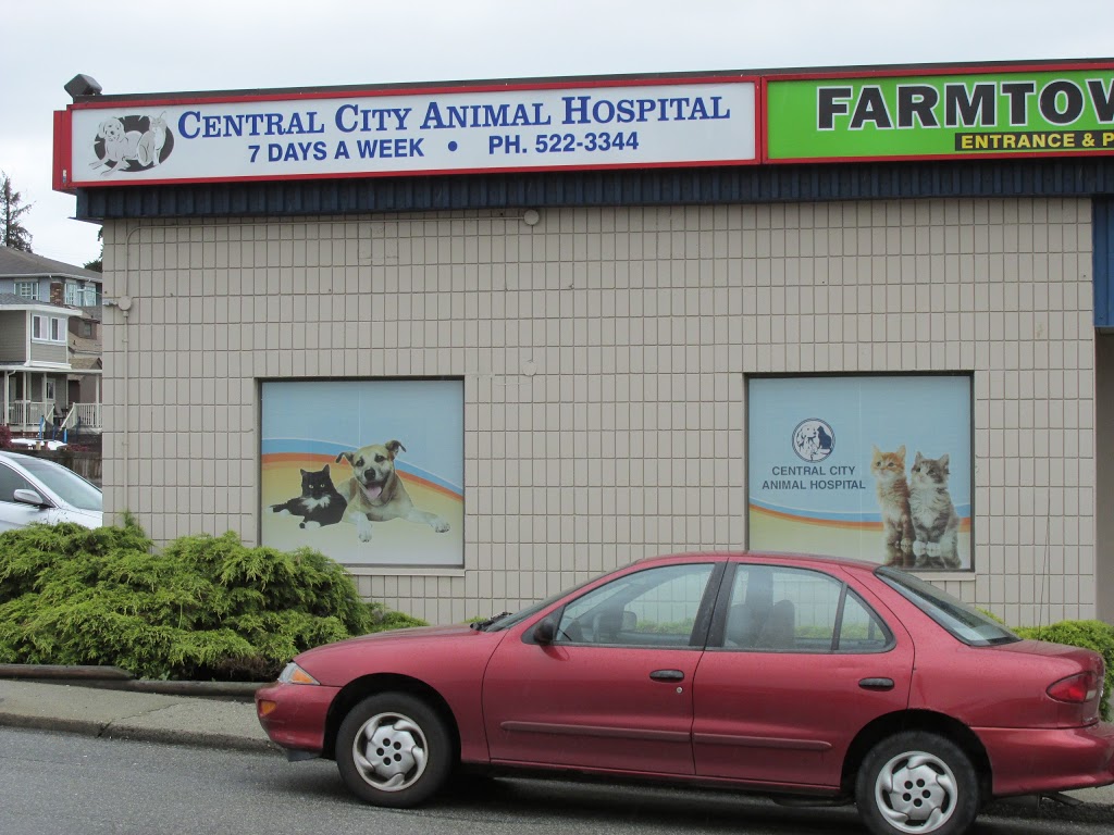 Central City Animal Hospital | 1-7834 6th St, Burnaby, BC V3N 3N2, Canada | Phone: (604) 522-3344