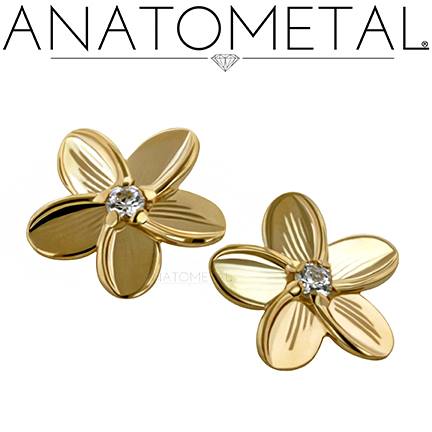 Westcoast Piercing and Ink | 13672 108 Ave #1, Surrey, BC V3T 2K5, Canada | Phone: (604) 584-2639