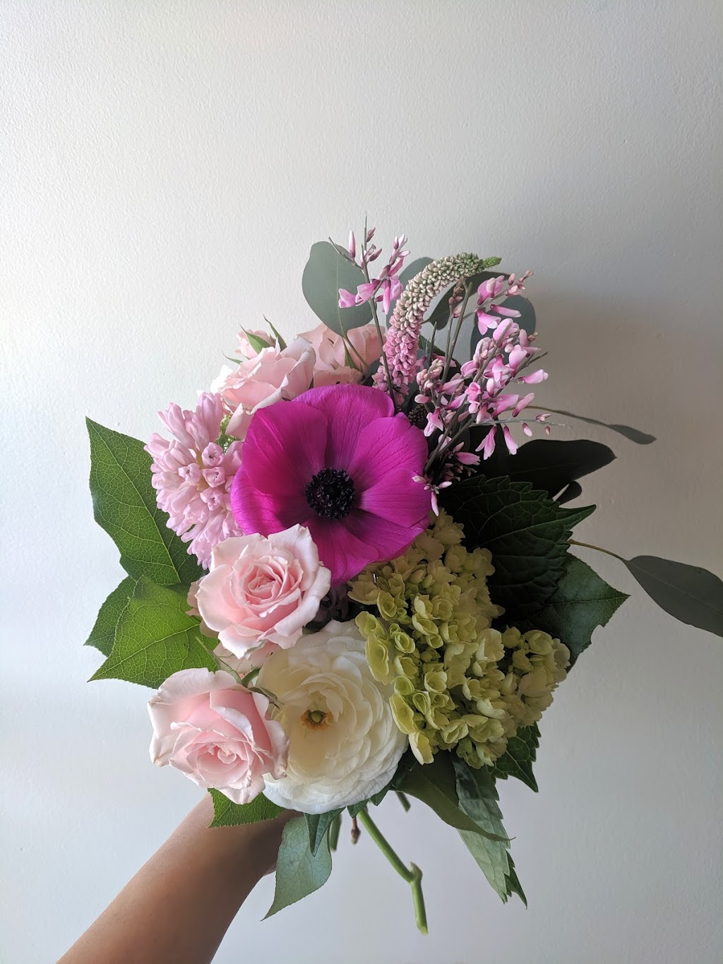 Studio Bloom | 10827 125 St NW, Edmonton, AB T5M 0L5, Canada | Phone: (780) 937-6012