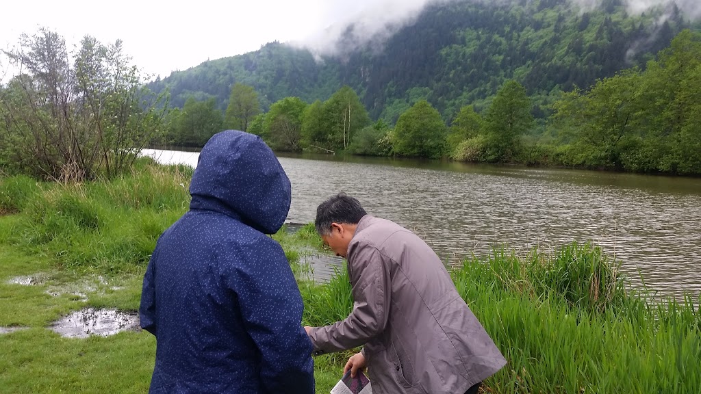 McDonald Park Fishing | Sumas Prairie, Abbotsford, BC V3G, Canada