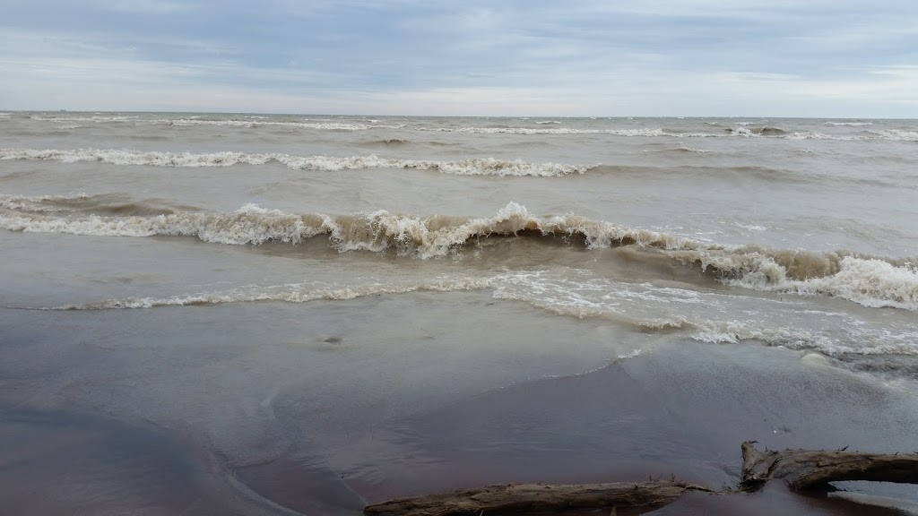 Turkey Point Watersports | 47 Cedar Dr, Turkey Point, ON N0E 1T0, Canada | Phone: (519) 239-3722