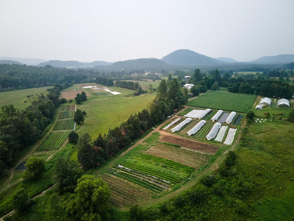 Ferme Agricola Farm | 502 QC-323, Papineauville, QC J0V 1R0, Canada | Phone: (819) 998-7498