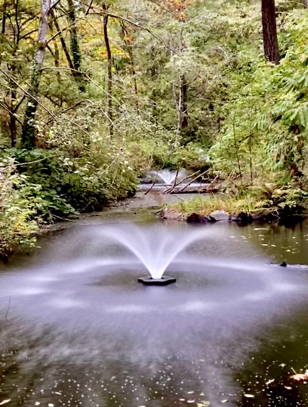 Bowen Park | 500 Bowen Rd, Nanaimo, BC V9R 1Z7, Canada | Phone: (250) 755-7501