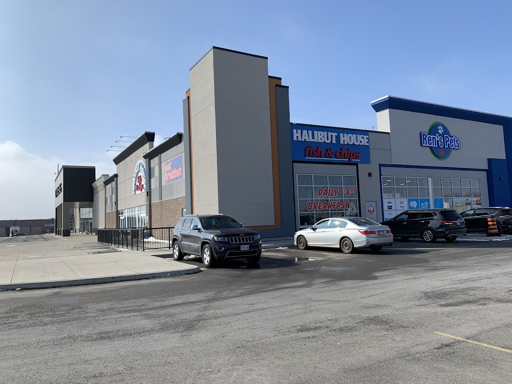 Halibut House Fish & Chips | 7555 Montrose Rd, Niagara Falls, ON L2H 2E9, Canada | Phone: (905) 354-4666