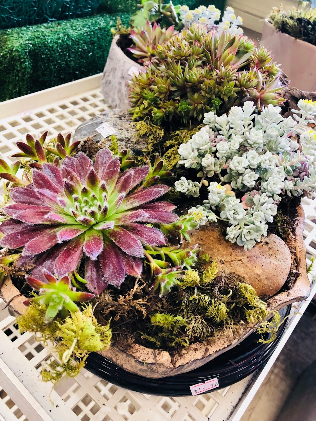 For You Flower Shop | 6495 Knight St, Vancouver, BC V5P 2V9, Canada | Phone: (778) 379-6838
