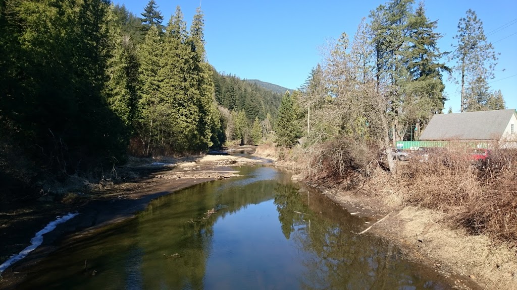 Miami Bridges Trail | behind parking lot of Harrison Spa Resort in, Harrison Hot Springs, BC, Canada