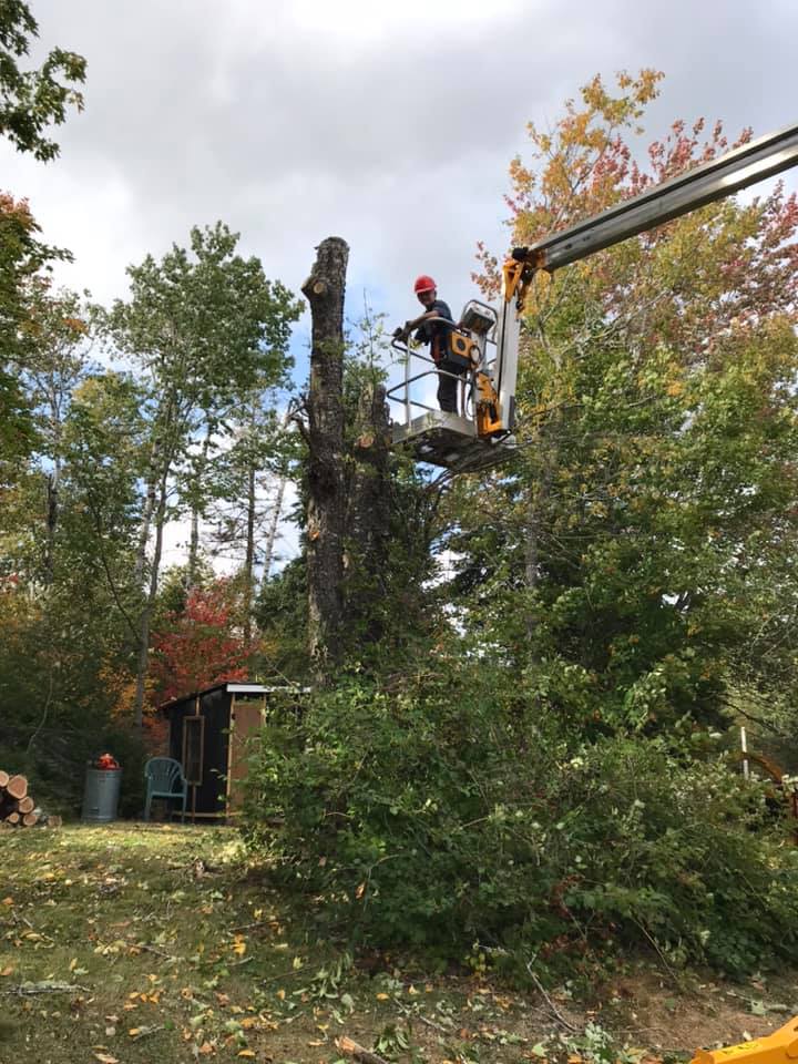 Hunt Ventures Tree Services | 2819 NS-326, Tatamagouche, NS B0K 1V0, Canada | Phone: (902) 957-0902
