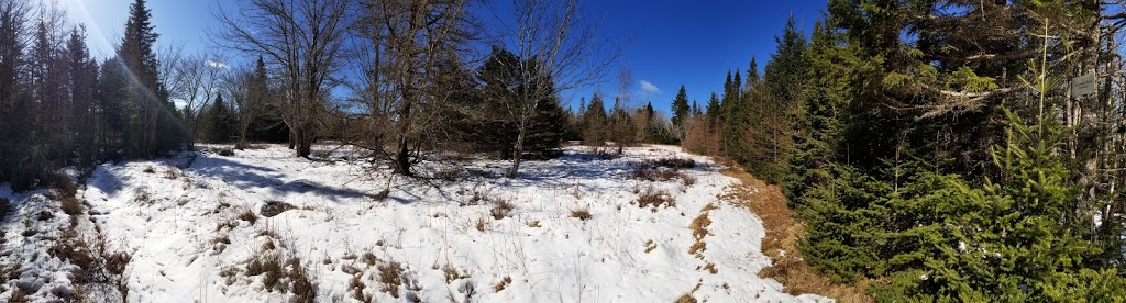 Greenhead Road Cemetery | Otter Lake, NS B3T 1P6, Canada