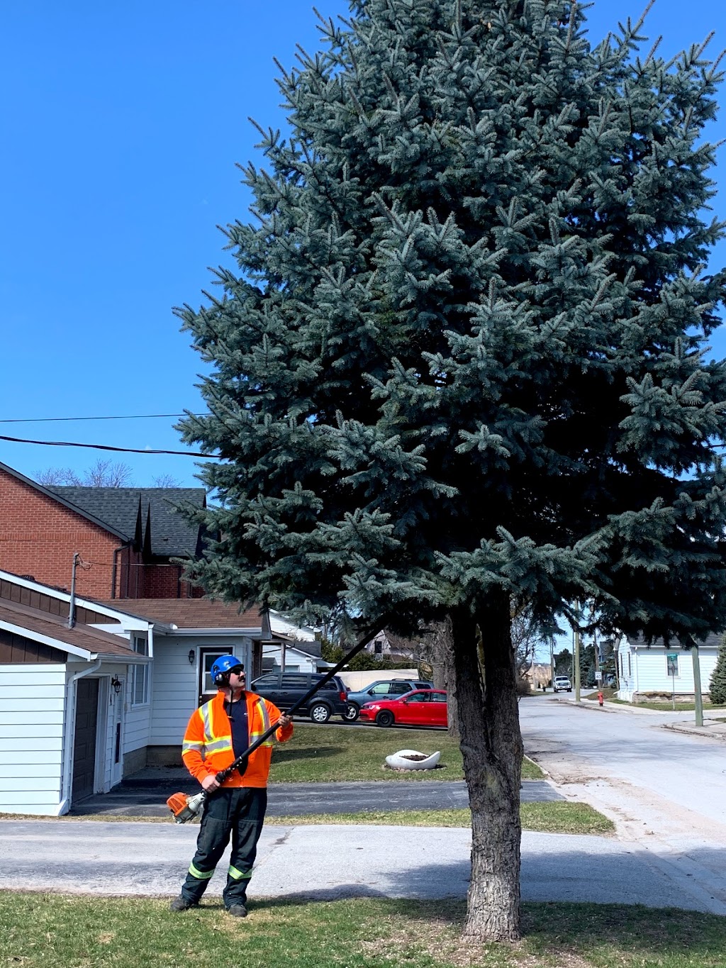 Oxley Tree Care Inc. | 5053 10th Sideroad, Thornton, ON L0L 2N0, Canada | Phone: (705) 896-2064