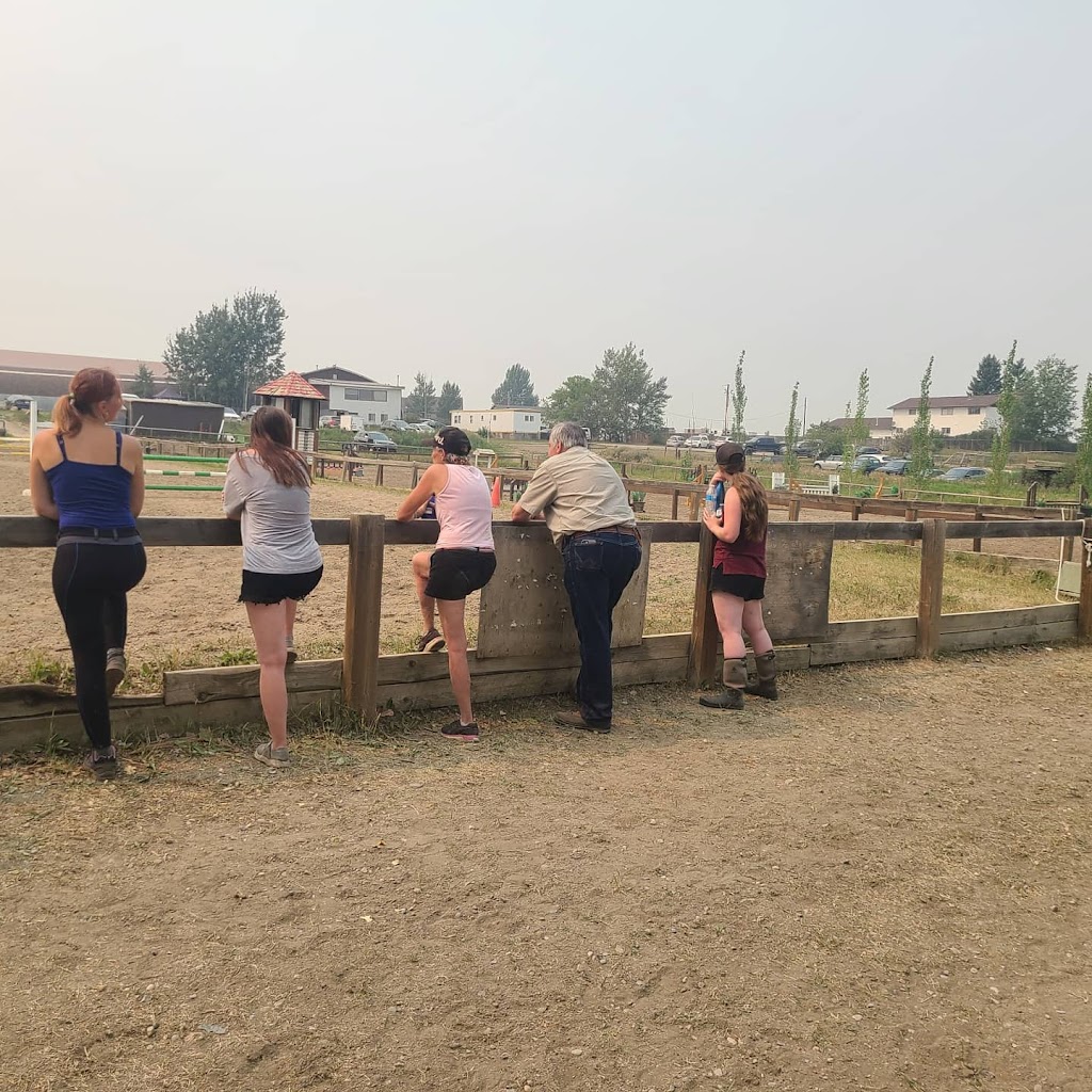Nowell Equine | 274188, Range Rd 20, AB T4B 4M4, Canada | Phone: (403) 996-4456