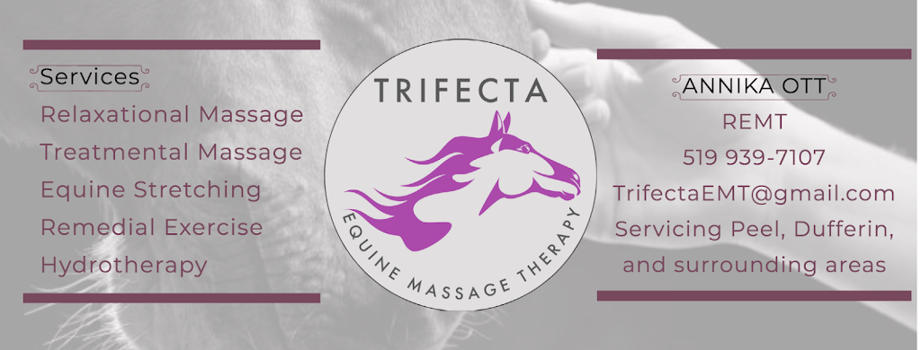 Trifecta Equine Massage Therapy | 19620 Heart Lake Rd, Caledon, ON L7K 1Z9, Canada | Phone: (519) 939-7107