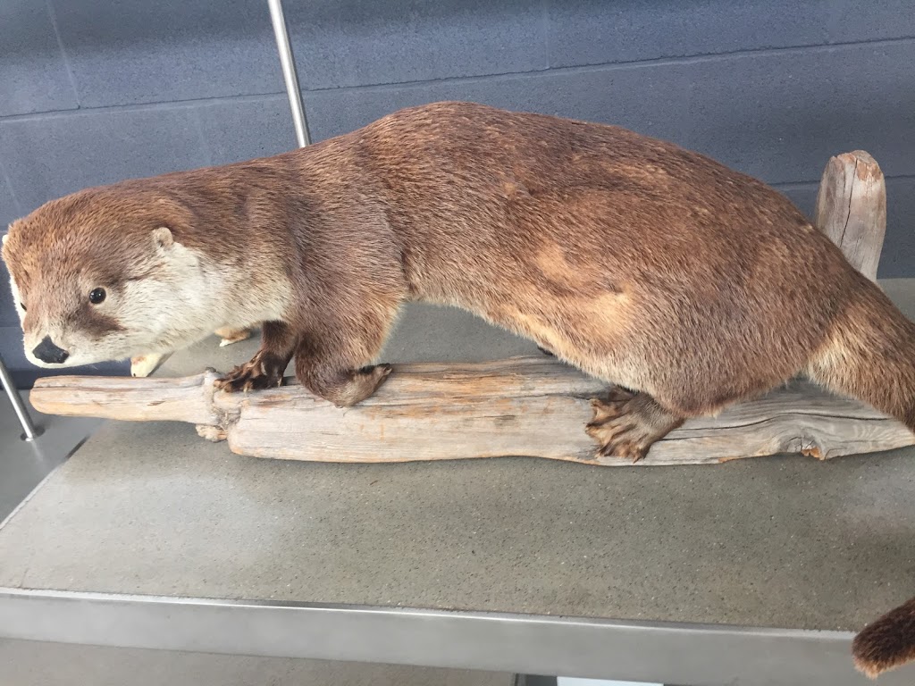 Killbear Provincial Park Visitors Centre | Unnamed Road, Killbear Park, ON P0G, Canada | Phone: (705) 342-5492