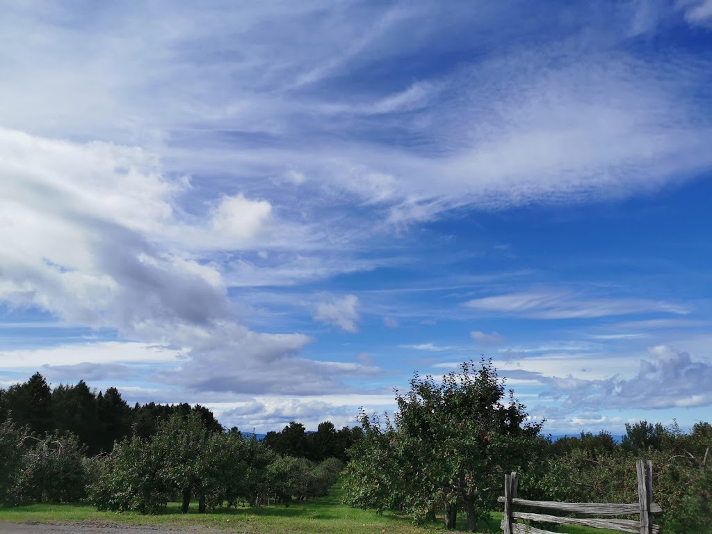 Cidrerie La Pomme du St-Laurent Inc | 503 Chemin Bellevue O, Cap-Saint-Ignace, QC G0R 1H0, Canada | Phone: (418) 246-5957