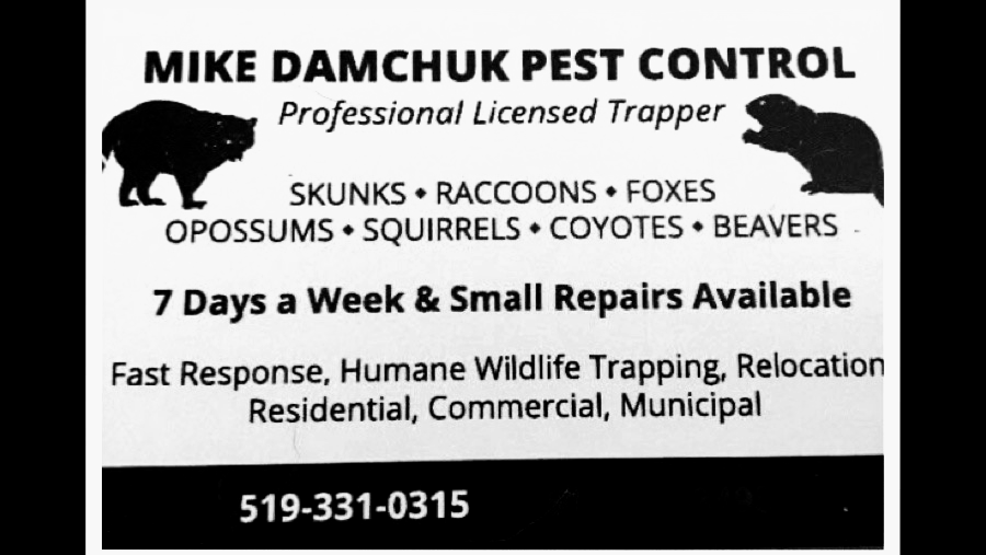 Mike Damchuk Pest Control | Kimball Rd, Corunna, ON N0N 1G0, Canada | Phone: (519) 331-0315