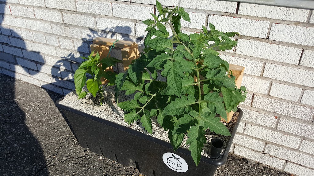 Holland Industry - Hydroponics Garden Supplies North York | 573 Fenmar Dr, North York, ON M9L 2R6, Canada | Phone: (416) 736-1732