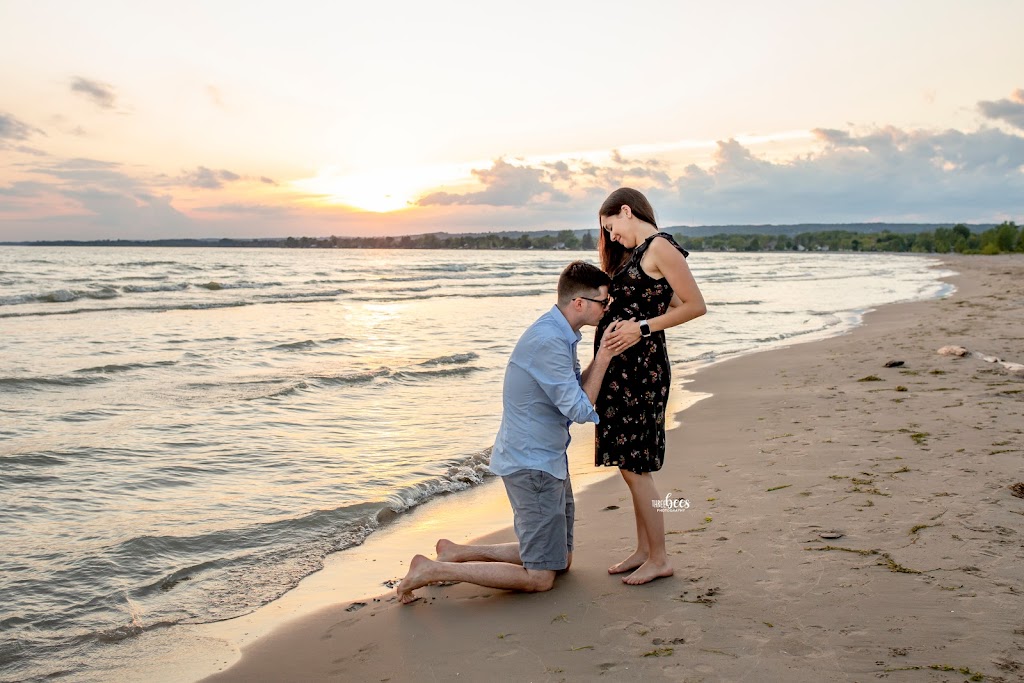 THREE BEES STUDIO | 10 Dorman St, Brighton, ON K0K 1H0, Canada | Phone: (613) 661-9166