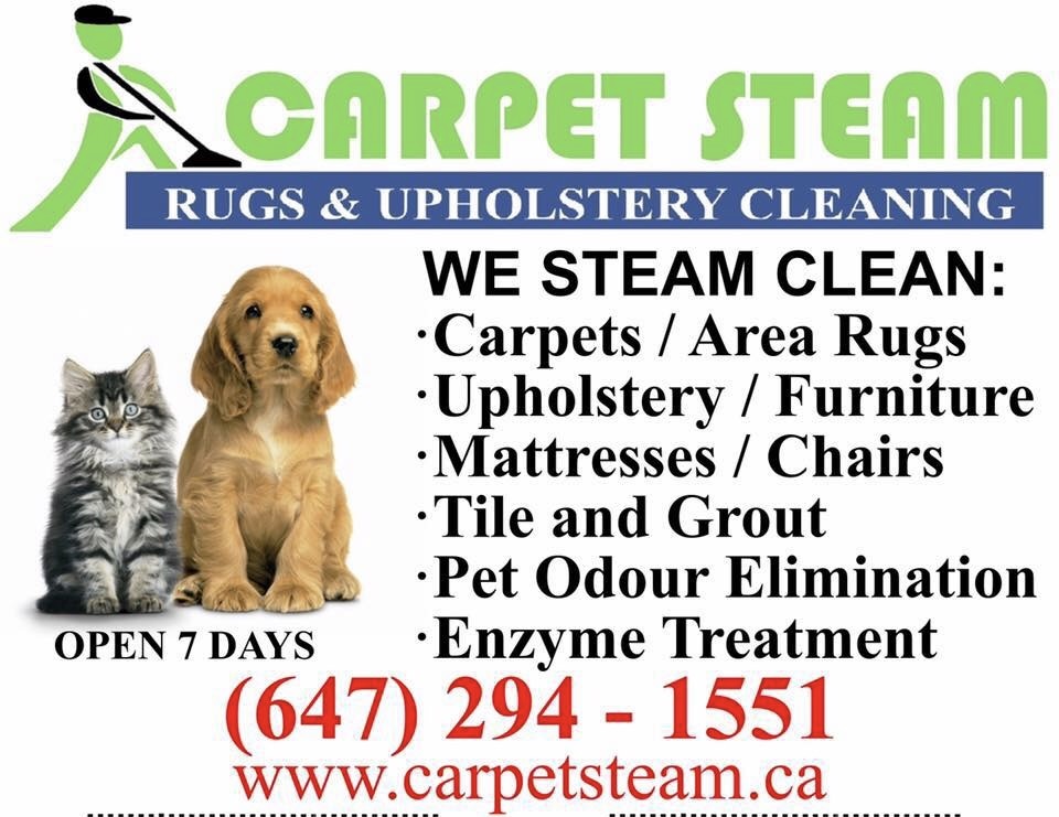 CARPET AND UPHOLSTERY STEAM CLEANING | 3310 Fieldgate Dr Unit 507, Mississauga, ON L4X 2J1, Canada | Phone: (647) 294-1551