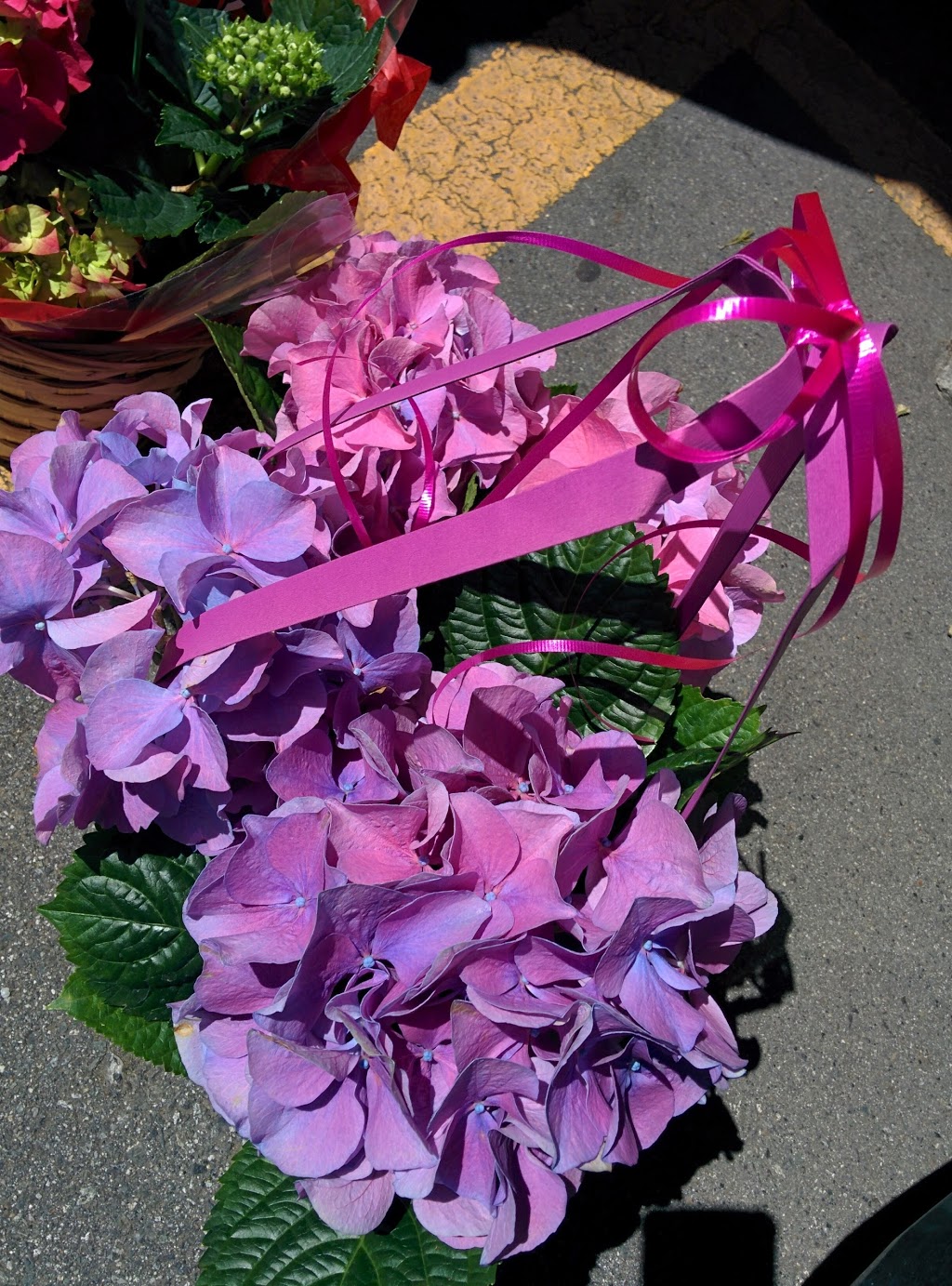 Touch Of Class Florists | 118-8011 No 1 Rd, Richmond, BC V7C 1T8, Canada | Phone: (604) 277-9618