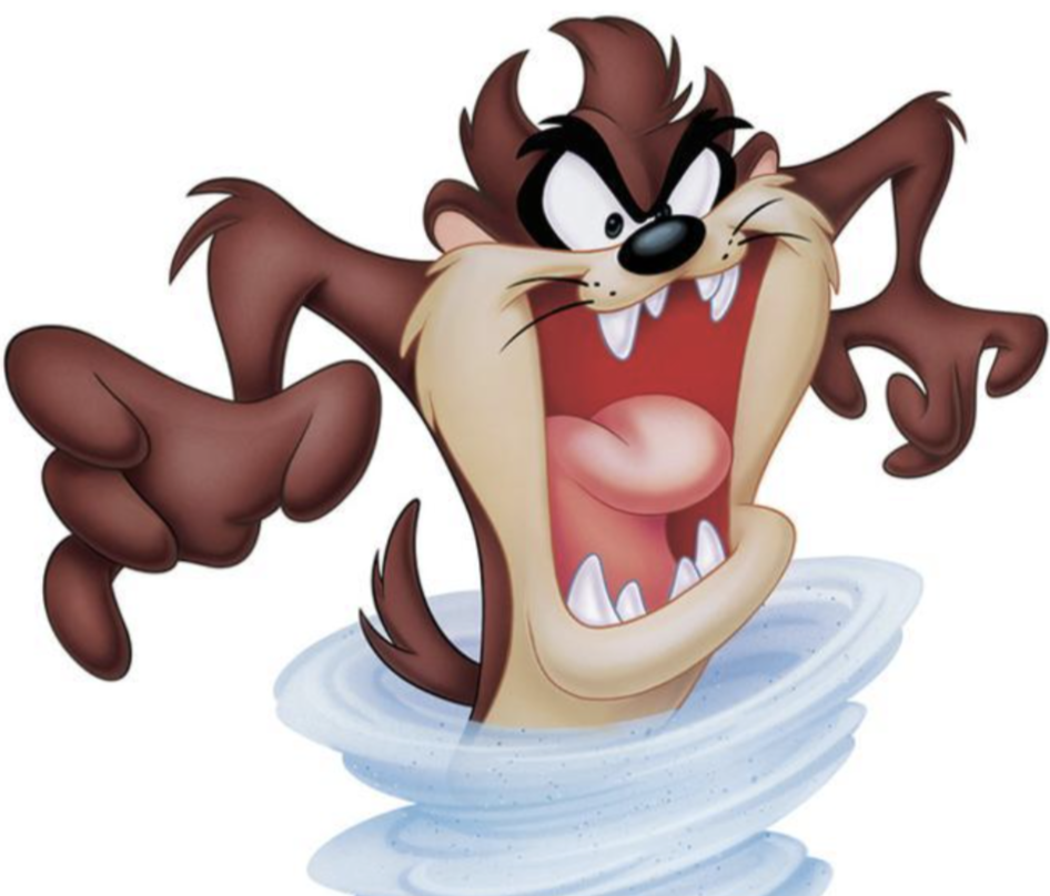 Lil Devil Central Vacuums | 7079 Sprout Rd, Courtenay, BC V9J 1N3, Canada | Phone: (250) 650-0738