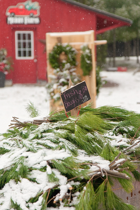 Merry Farms | 1974 Concession 2 Rd W, Lynden, ON L0R 1T0, Canada | Phone: (519) 647-2648