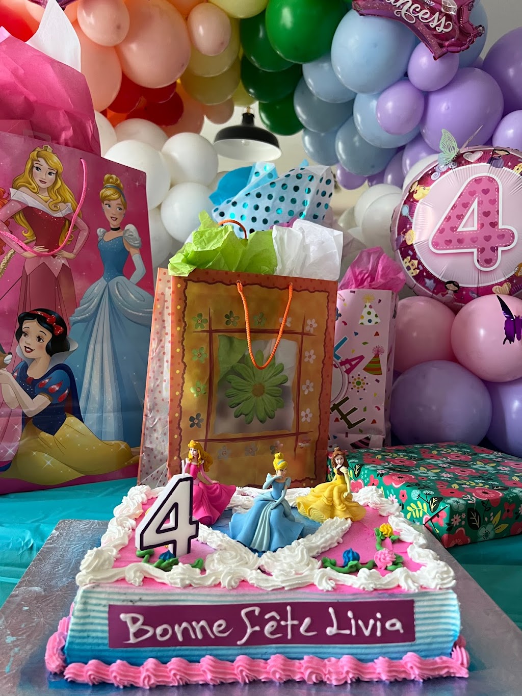 Ballon Extravaganza | 84 Rue Brabant, Gatineau, QC J8M 1K5, Canada | Phone: (819) 744-1188