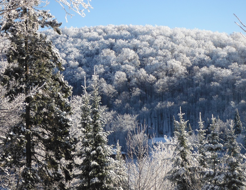 Gîte Vita Bella B&B | 280 Chemin de Bellefeuille, Saint-Adolphe-dHoward, QC J0T 2B0, Canada | Phone: (819) 327-5037