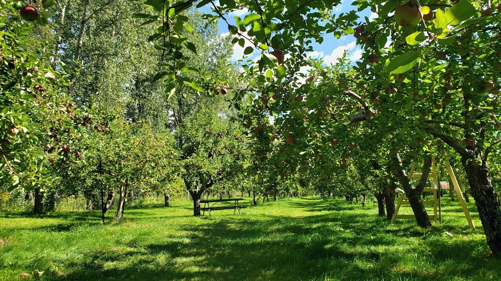 Verger François Legault | 111 Rang des Étangs, Mont-Saint-Hilaire, QC J3G 4S6, Canada | Phone: (450) 467-6492