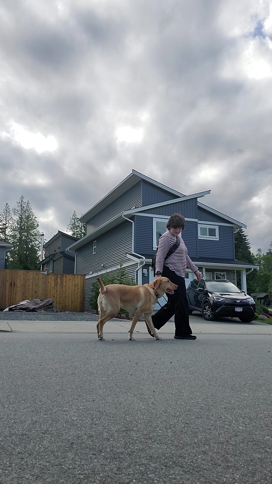 Balanced behavior canine | 1575 Graham Place, Ladysmith BC, V9G IKI, Ladysmith, BC V9G 1K1, Canada | Phone: (250) 618-7711