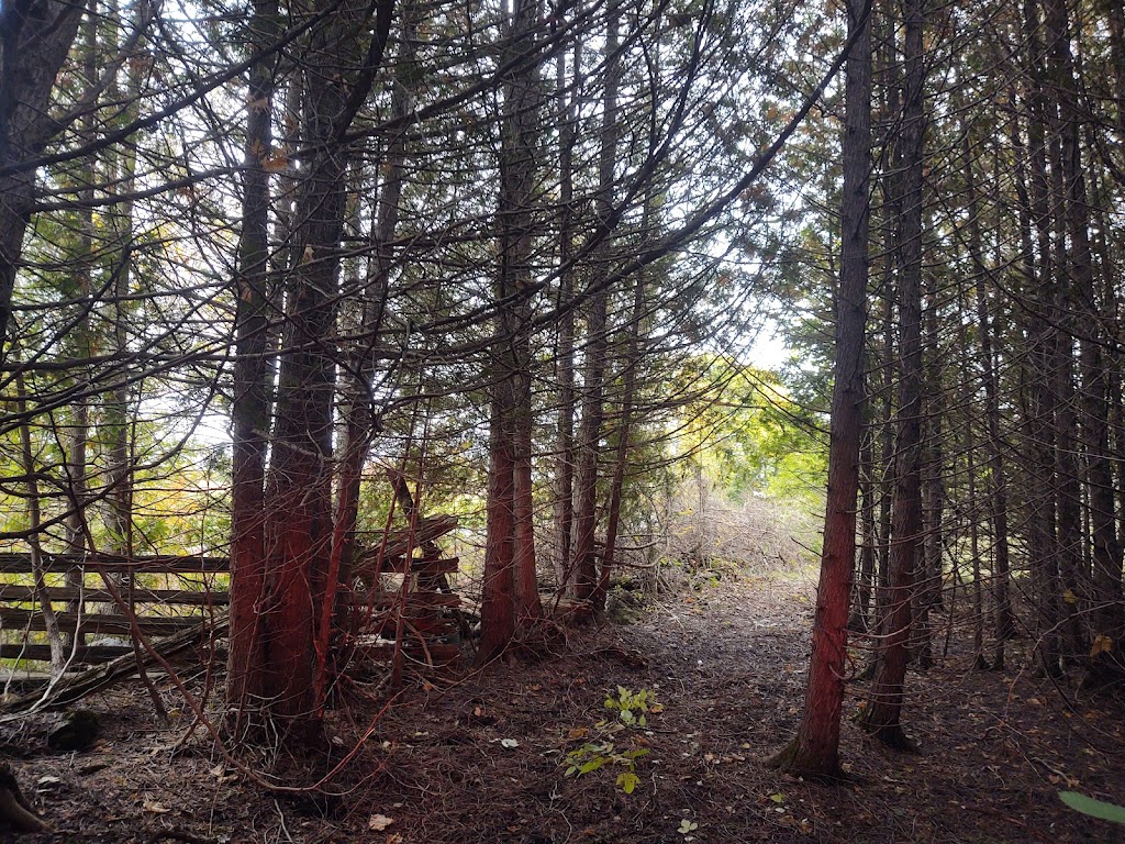 Sientsts Nature Farm | 968 Spry Rd, Marmora, ON K0K 2M0, Canada | Phone: (613) 325-5799