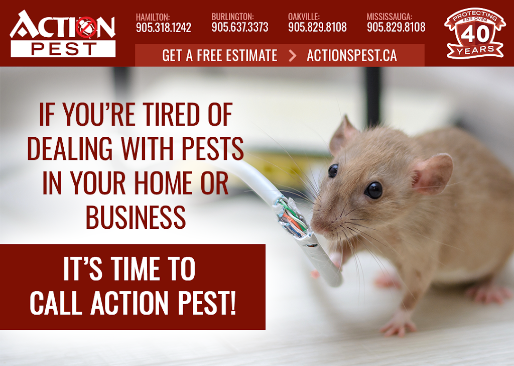 Action Pest Control Services | 263 W 2nd St, Hamilton, ON L9C 3G6, Canada | Phone: (905) 318-1242