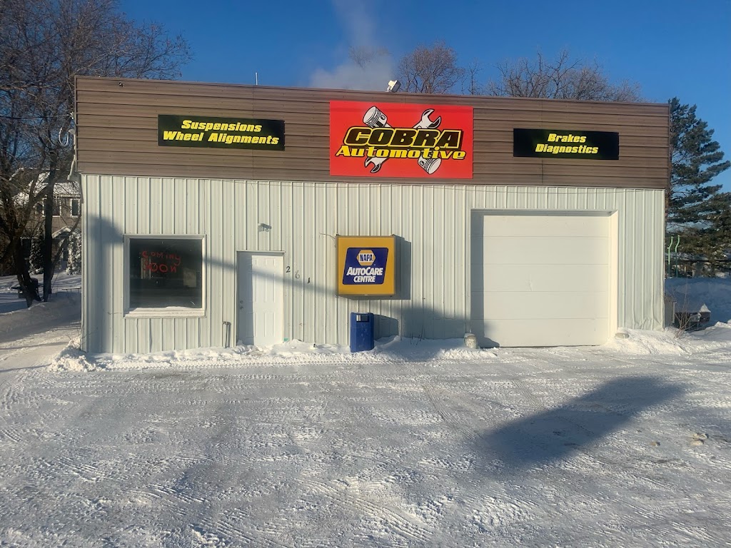 Cobra Automotive | box 92, 261 Center Ave, Blumenort, MB R0A 0C0, Canada | Phone: (204) 346-1012