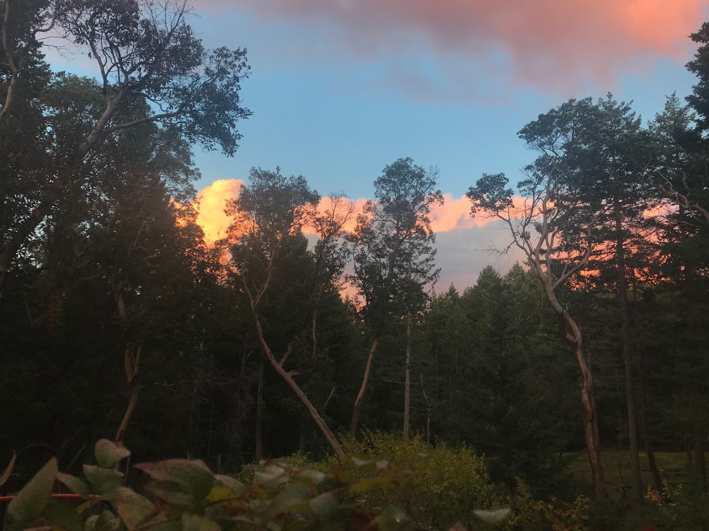 Arbutus Grove B and B | 870 Duthie Ave, Gabriola, BC V0R 1X2, Canada | Phone: (250) 247-7155