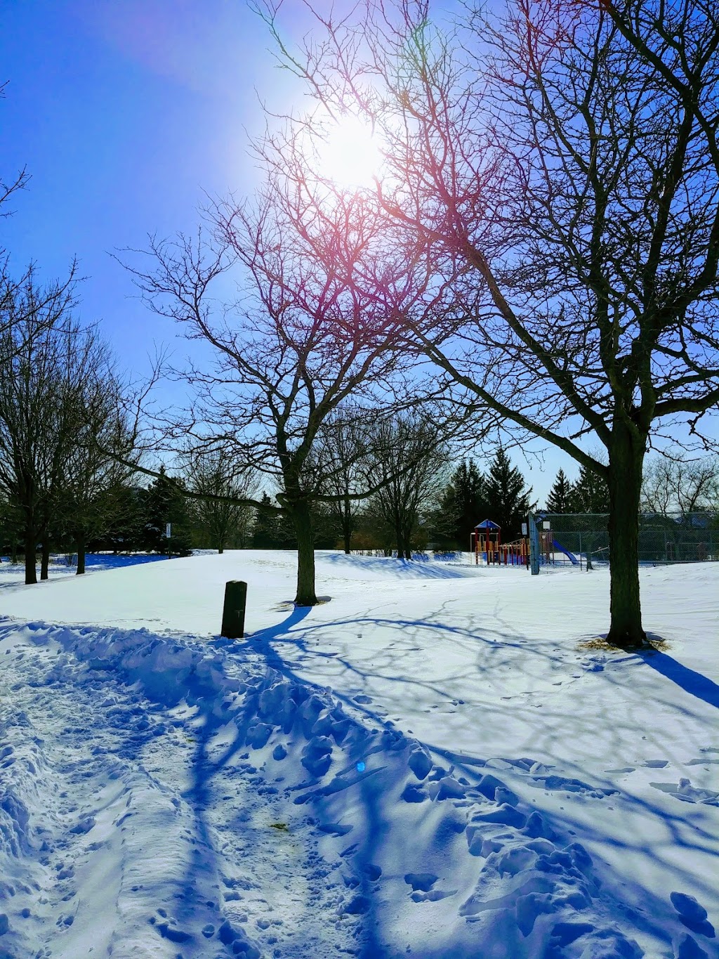 Ventura Park | 32 Mulholland Dr, Thornhill, ON L4J 7T7, Canada | Phone: (905) 832-2281
