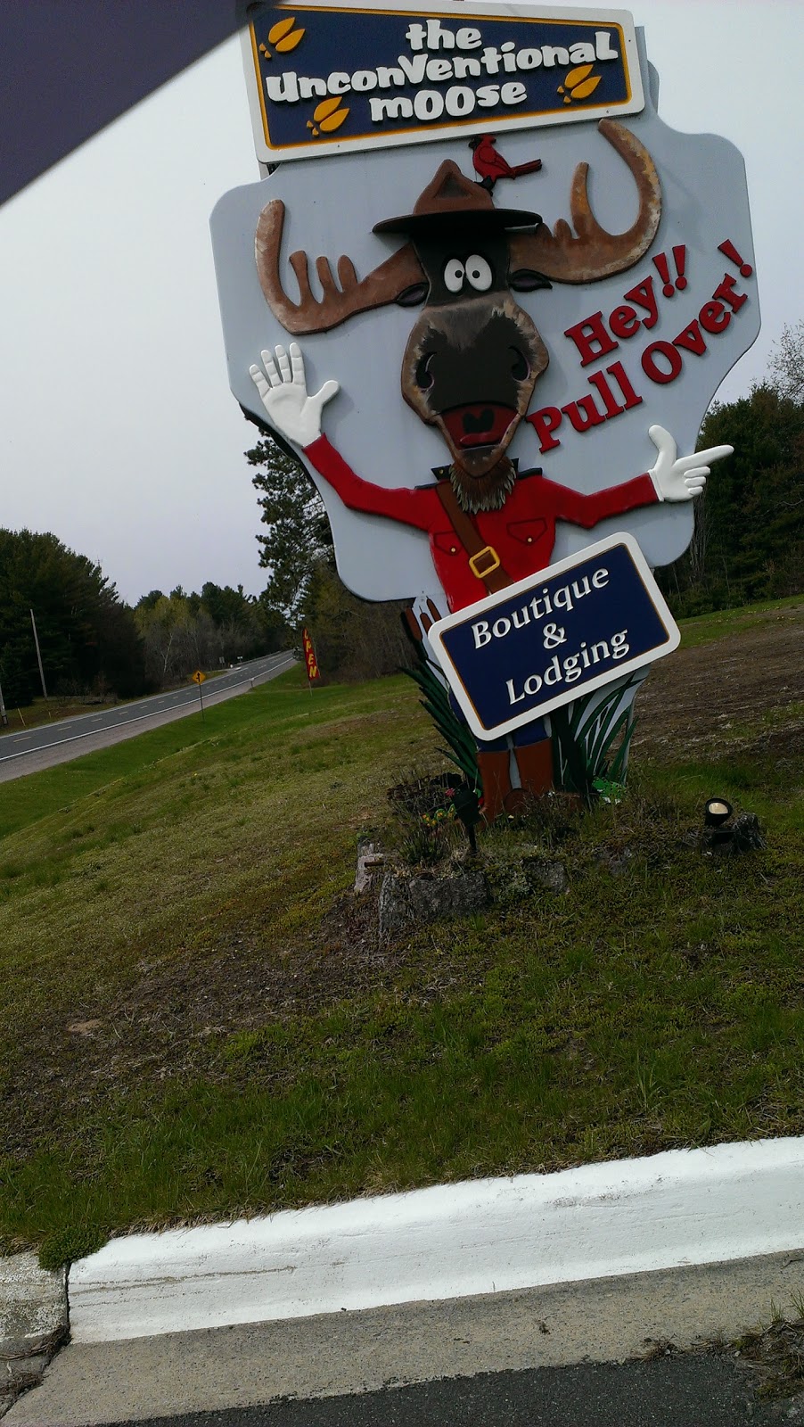 Unconventional Moose | 108575 Hwy 7, Tweed, ON K0K 3J0, Canada | Phone: (613) 478-2562