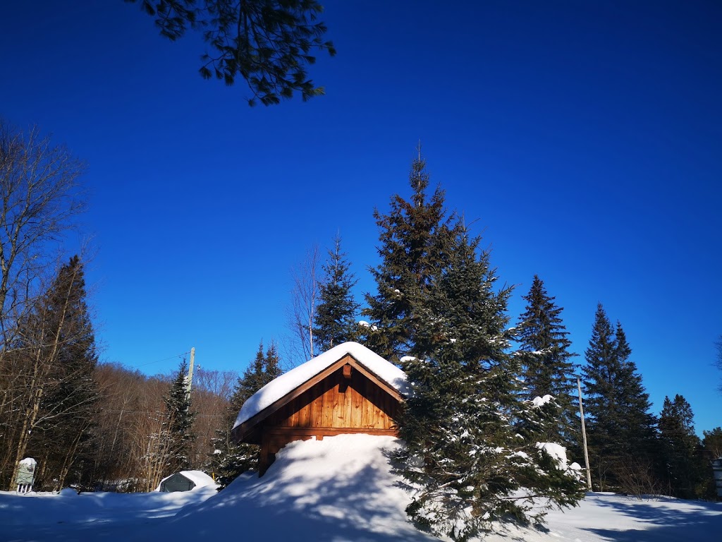 Wolf Den Nature Retreat Hostel & Cabins | 4568 ON-60, Dwight, ON P0A 1H0, Canada | Phone: (705) 635-9336