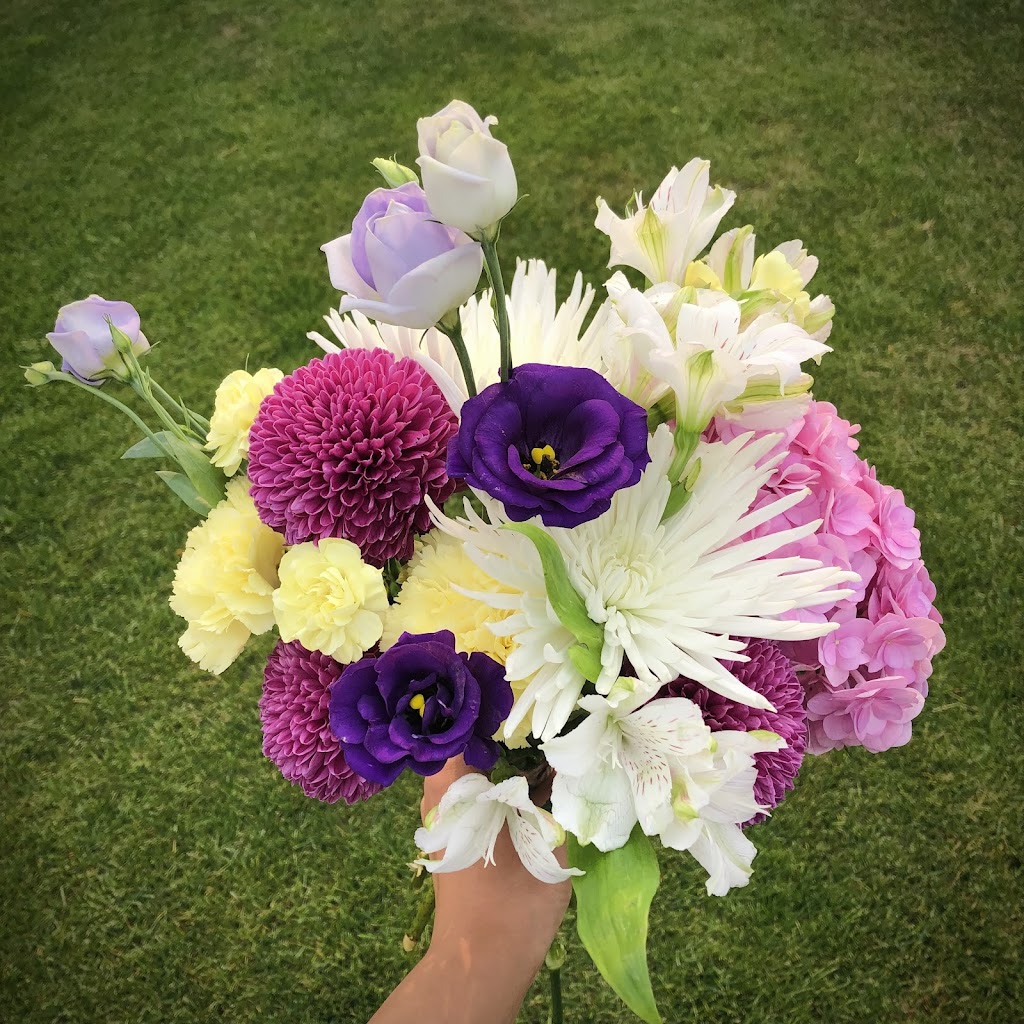 J.Bloom | 886 Stewart St, Winnipeg, MB R2Y 1P6, Canada | Phone: (204) 227-6816