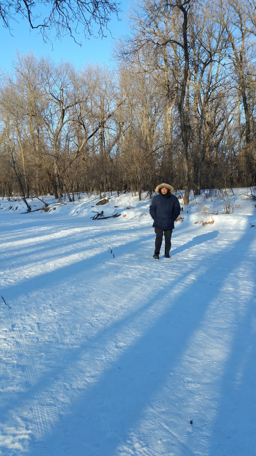 Morier Park | 2 Egerton Rd, Winnipeg, MB R2M 2V4, Canada