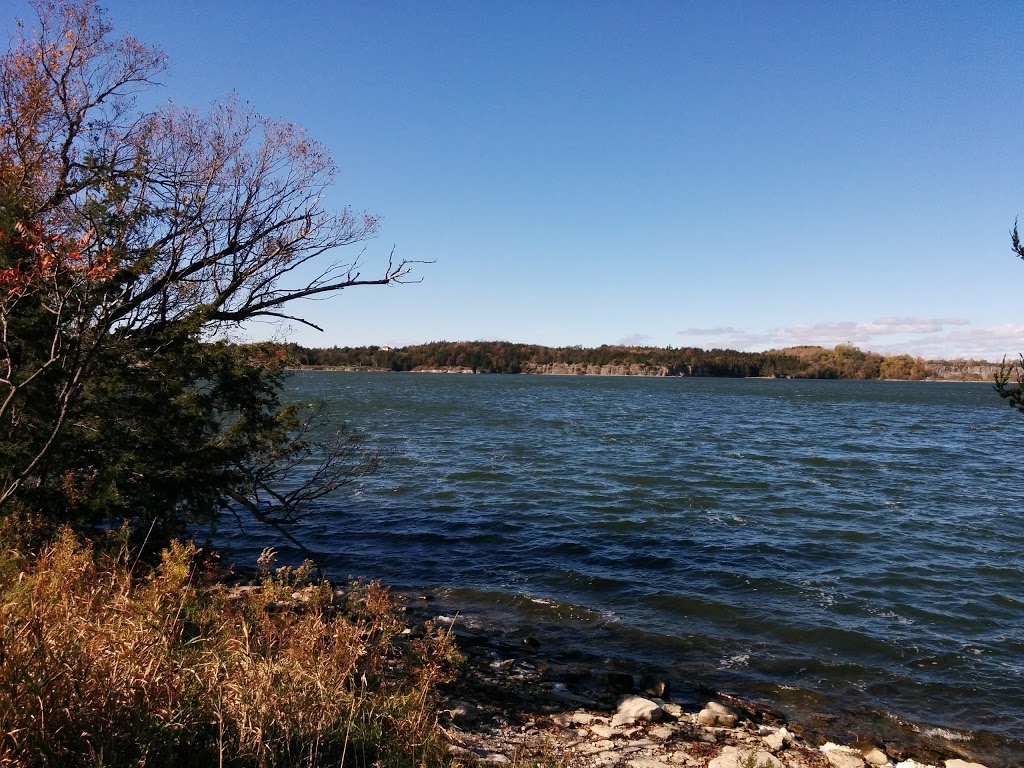 H. J. McFarland Conservation Area | MacFarland Park Ln, Prince Edward, ON K0K, Canada | Phone: (613) 968-3434