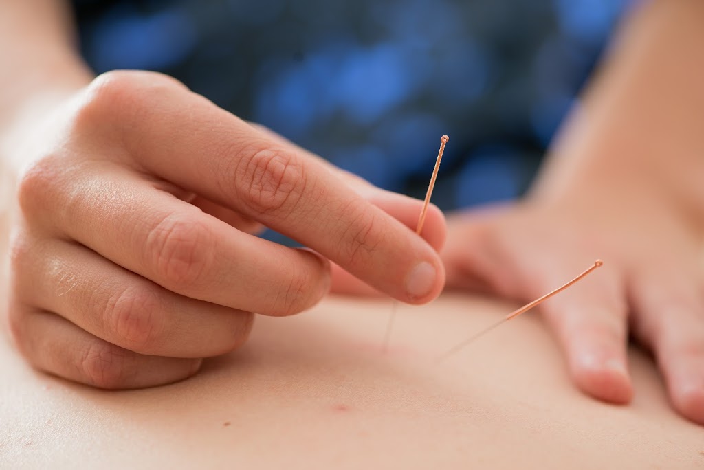 Central Nova Chiropractic | 107 Young St, Truro, NS B2N 3W9, Canada | Phone: (902) 895-6497