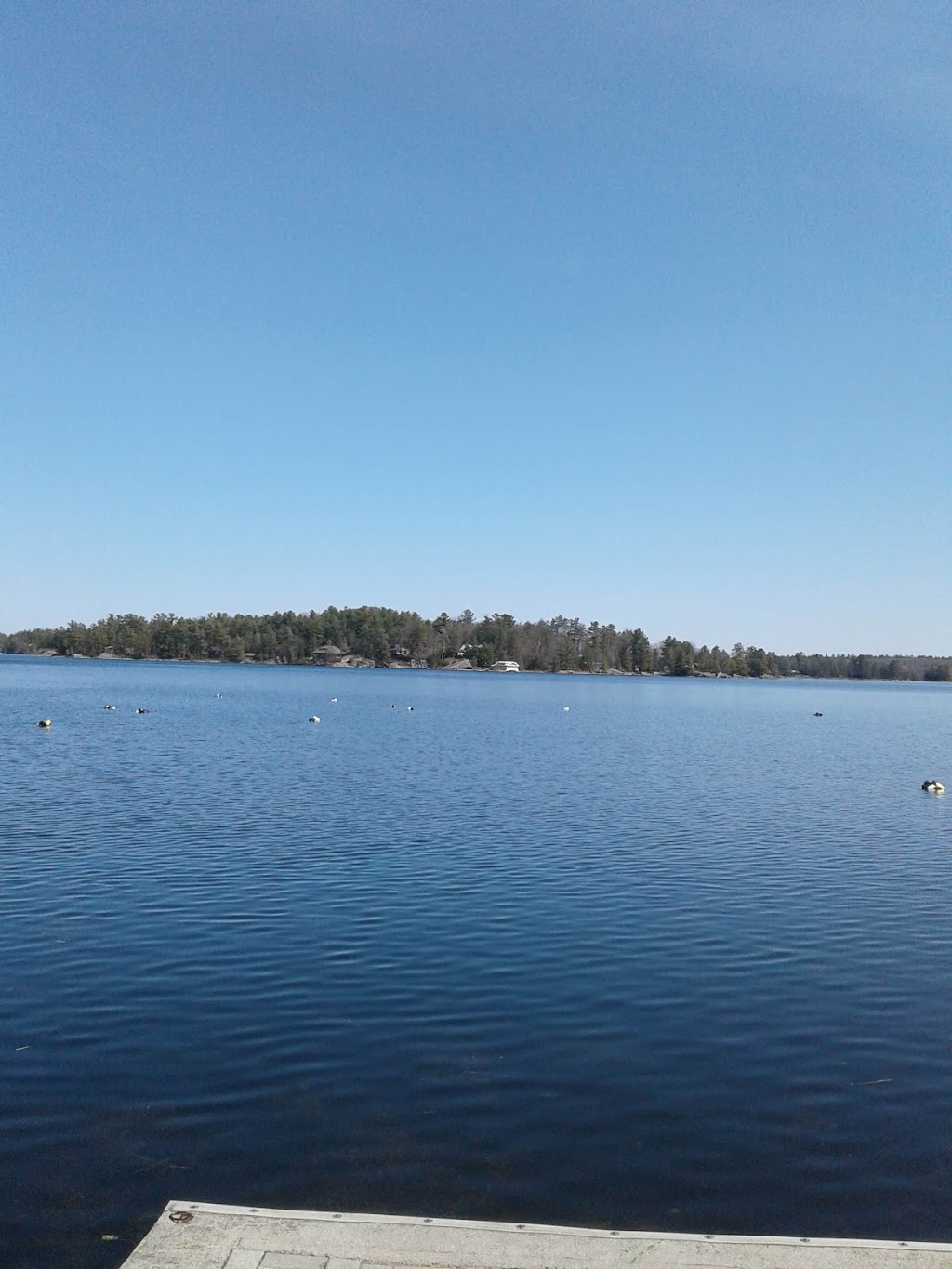 Kawartha Park Marina | 2545 Hiawatha Ln, Lakefield, ON K0L 2H0, Canada | Phone: (705) 654-3549