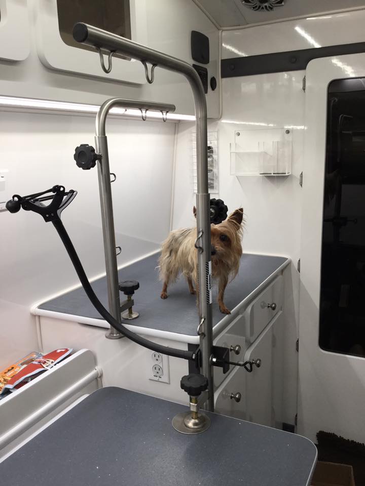 The Dshaggin Waggin Mobile Pet Groomer | 100 Aldersmith Pl A6, Victoria, BC V9A 7M8, Canada | Phone: (250) 590-8121
