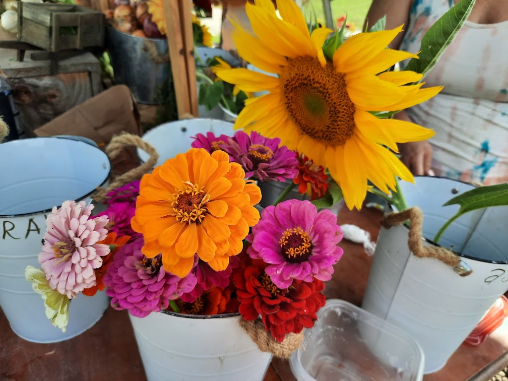 Potager Astral | 367 Rang de Fort-Georges, Sainte-Angèle-de-Monnoir, QC J0L 1P0, Canada | Phone: (514) 662-7814