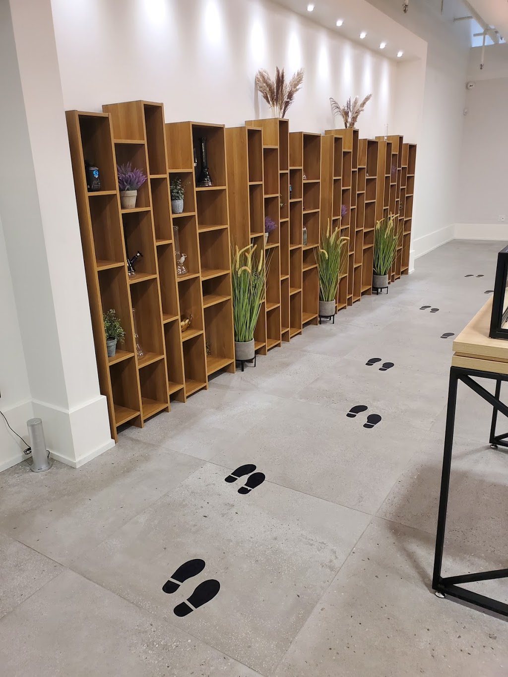 Seven Point Cannabis Brantford | 10 Stanley St Unit 1, Brantford, ON N3S 7N4, Canada | Phone: (519) 304-1020