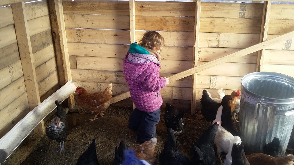 Ferme Au Versant Doré | 825 QC-220, Bonsecours, QC J0E 1H0, Canada | Phone: (450) 532-5350