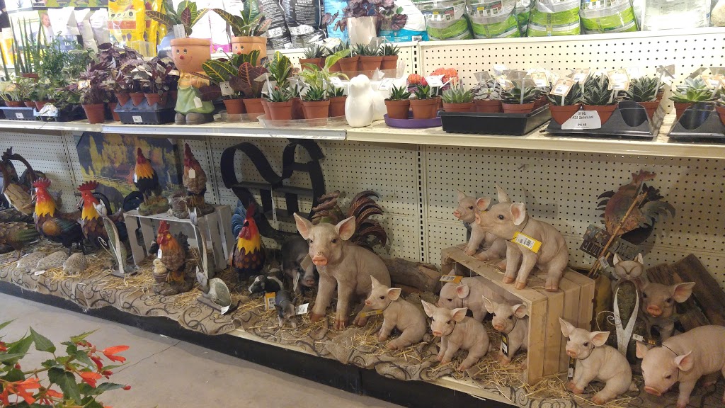 Ridgeview Fruit Market & Garden Centre | 5699 King St, Beamsville, ON L0R 1B3, Canada | Phone: (905) 945-1713