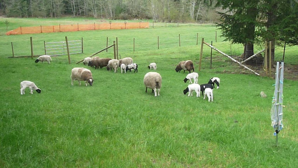 Beaufort Rainbow Farm | 9564 Somers Rd, Port Alberni, BC V9Y 8N9, Canada | Phone: (250) 735-0680