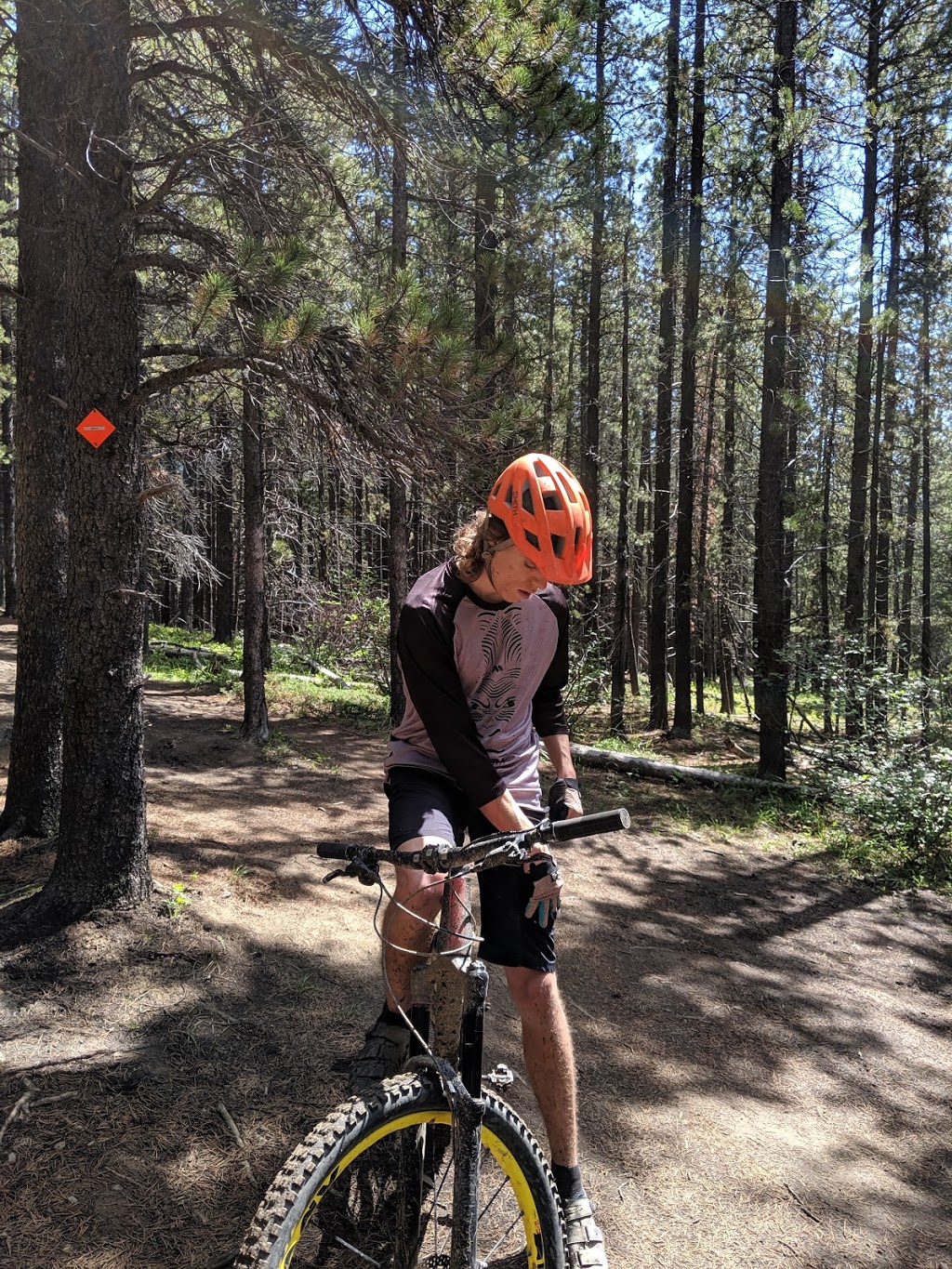 Baruchs Corner | Ranger Summit, Bragg Creek, AB T0L 0K0, Canada