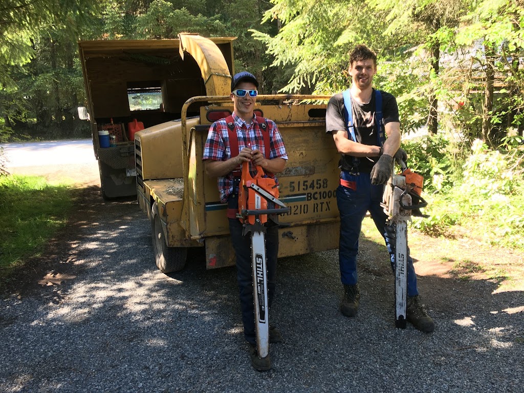 Royal Oak Tree Service | Island 5, Gabriola, BC V0R 1X7, Canada | Phone: (250) 918-4290