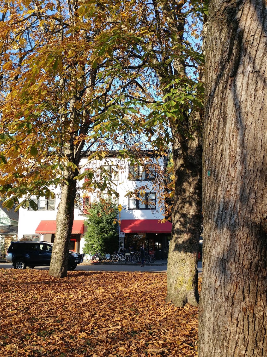 MacLean Park | 710 Keefer St, Vancouver, BC V6A 1Y6, Canada | Phone: (604) 873-7000